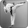 Image of a woman doing a side kick with view from front.