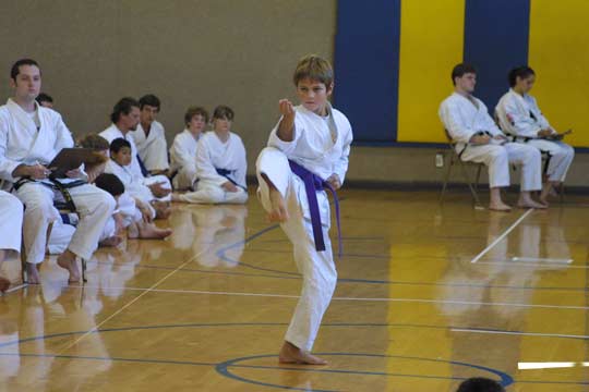 A purple belt boy doing a hyung during tournament competition.