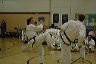 spring07_204